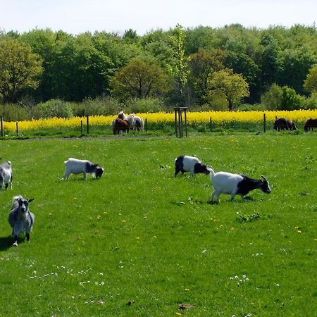 Ferienwohnungen Auf Dem Ferienhof Sell Stoltebull Экстерьер фото